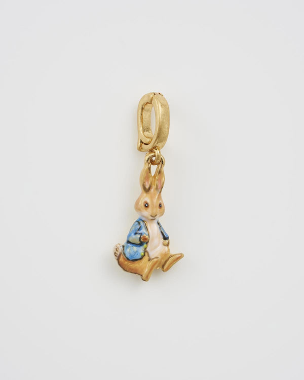 Fable England x Peter Rabbit Charm